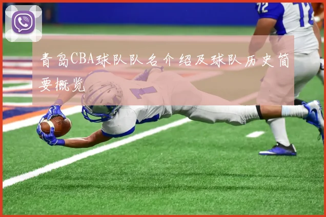 青岛CBA球队队名介绍及球队历史简要概览