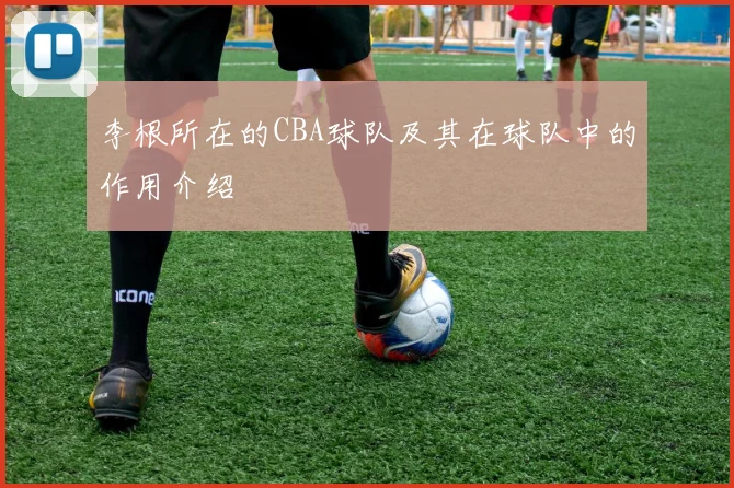 李根所在的CBA球队及其在球队中的作用介绍