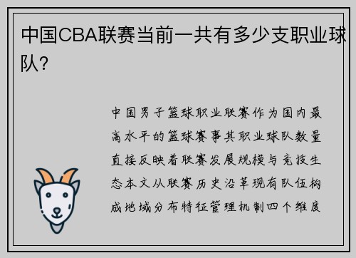 中国CBA联赛当前一共有多少支职业球队？